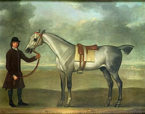 Toile Tête d'homme Giuseppe Zocchi SERENDIPITP pour salon élégant