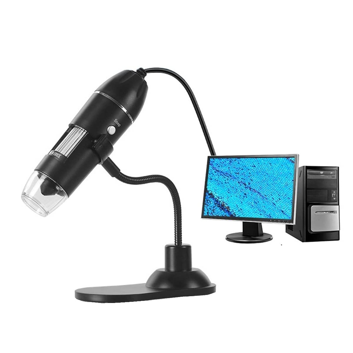 Microscope 8 LED 50X-100X Electronic Digital Microscope, with Holder