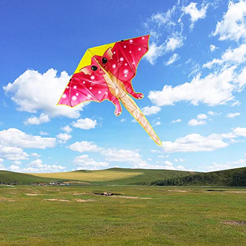 Kaidenic 2 Pack Kites Parrot And Dragon Kites Easy To Fly With Flying Lines For Kids And Adults #TOP6