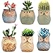 Betrome Owl Pot 2.5 Inch, Ceramic Flowing Glaze Succulent Pots, Owl Planter, Mini Ceramic Pots, Bonsai Owl Pot with a Hole for Small Flower, Plant & Cactus, 6 Pcs