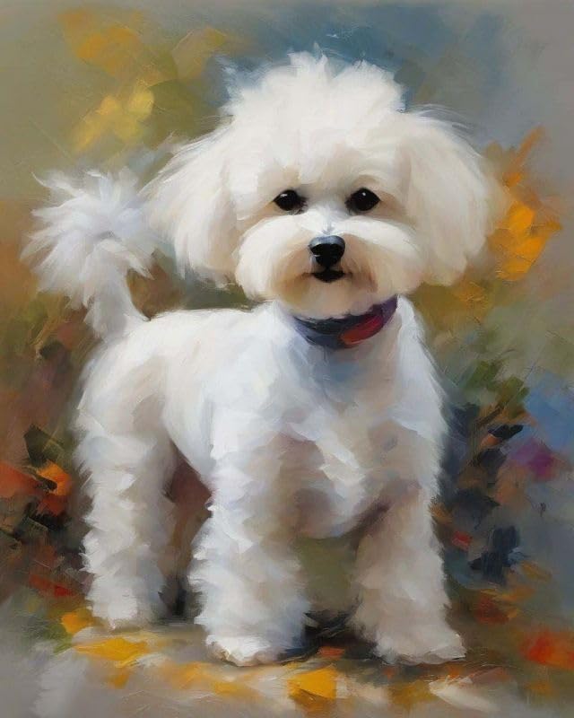 Adults' Paint by Number Kits, Bichon Frise on The Grass,Paint by Number Kits on Canvas,DIY Oil Paintings for Kids Beginners Arts and Crafts,40x50cm No Frame