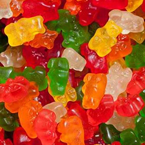 The Nutty Fruit House Sugar Free Gummy Bear 2LB Bag miniatura 1