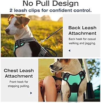 pawaboo dog harness