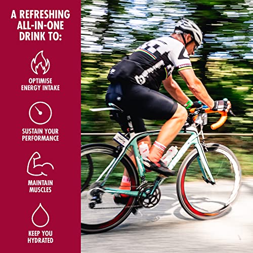 High 5 Energysource 4:1 1.6Kg Summer Fruits Sports Protein Powder Drink Energy #TOP5