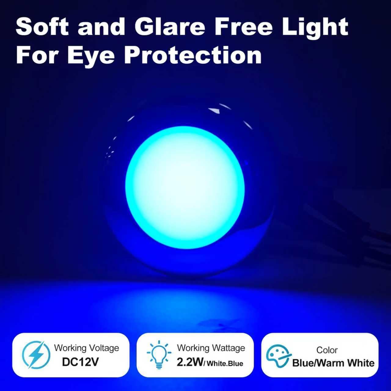 Boat Ceiling Lights interior boat lights waterproof 12v marine Deck Lights for pontoon RV Fishing Boat (Warm White & Bule)