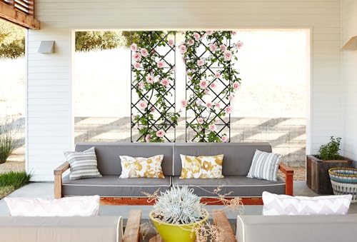 Giant Trellis, 108” high (9’ Tall) by 28” Wide Trellis with Arched top - by Meranti Home + Garden