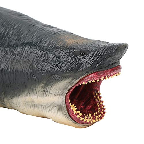 Modelo de tubarões de plástico, modelo educativo, modelo de animal raro infantil educativo (novo mod