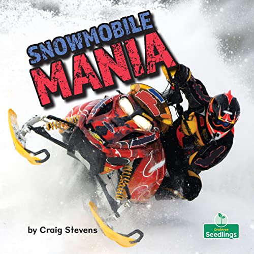 Image of Snowmobile Mania (Insane Speed)