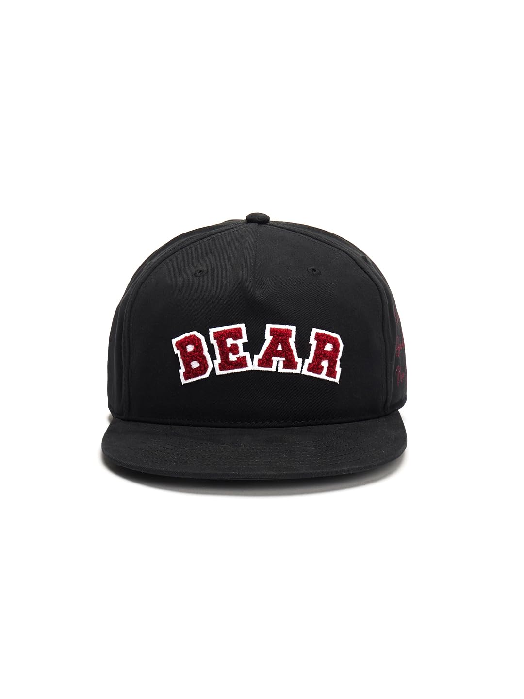 THE BEAR HOUSE Men's Trendy Streetwear Chenille Patch Snapback Baseball Cap Black 1