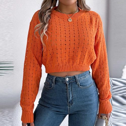 Akklian Y2k Teen Girl Crop Tops Hollow Out Sweaters for Women Crewneck Long Sleeve Pullover Tops Lightweight Tunic Sweater4