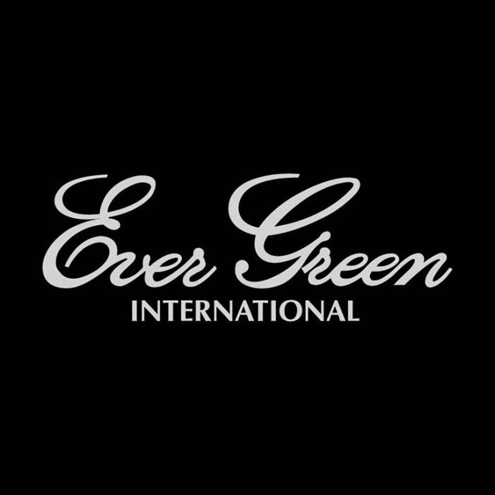 Evergreen Sticker Evergreen Boat Decal L Silver