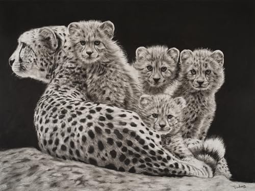Cheetah Cub – Charcoal Wildlife Wall Art | Black and