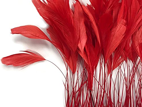 Moonlight Feather | 1 Dozen - Red Stripped Rooster Coque Tail Feathers Craft Costume Supply #TOP4