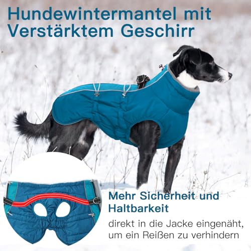Katzinst Hunde Wintermantel Wasserbeständig, Verstellbarer Halsausschnitt, Hundemantel mit Geschirr und Durch Verstellbare Gummizüge, Hundebekleidung für Mittlere Hunde, Cocker Spaniel, Grün, M