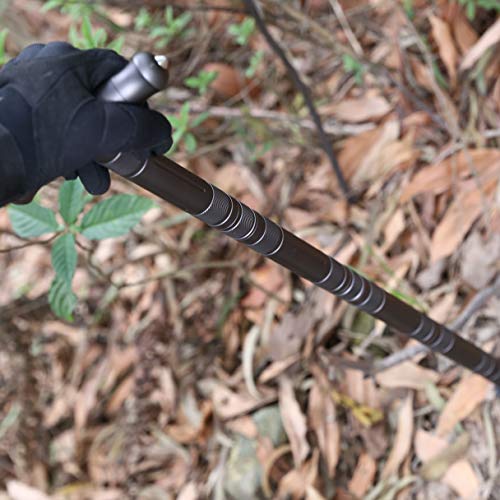 Aigear Premium Walking Hiking Stick Cnc Machined Outdoor Trekking Poles With Solid Durable Tools Whistle And Compass Color Gray (Ws104X) #TOP2