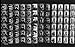 Groupies and Other Electric Ladies: The Original 1969 Rolling Stone Photographs by Baron Wolman