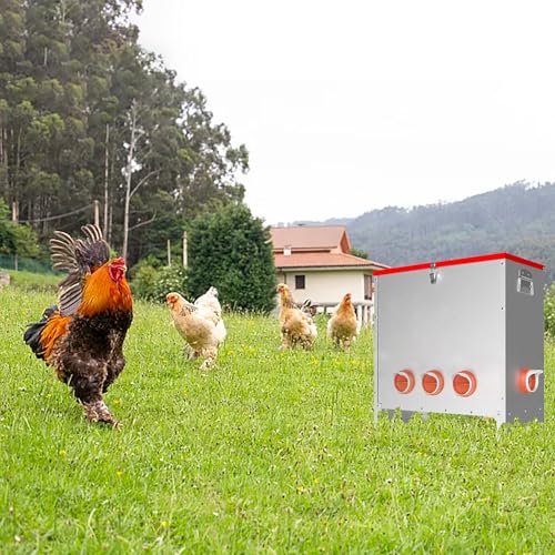 Comedero automático para aves de corral con pestillo y asa, dispensador de alimentos de gran capacidad resistente a la intemperie para pollos, bantamos, faisanes