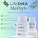 LIFEDNA Methyl + Methylfolate - Methylated Folate Vitamins Active 5-MTHF TMG Optimized Homocysteine, Brain, Cardiovascular Highly Bioavailable, MTHFR Supplement