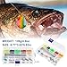 Fishing Lure Making Kit 165pcs DIY Spinner Bait Making Kit Includes Colorado Blades Hooks Stacked Fishing Beads for Fishing Rigs Walleye Rigs Trolling Rigs Crawler Harness Trout Bass Salmon