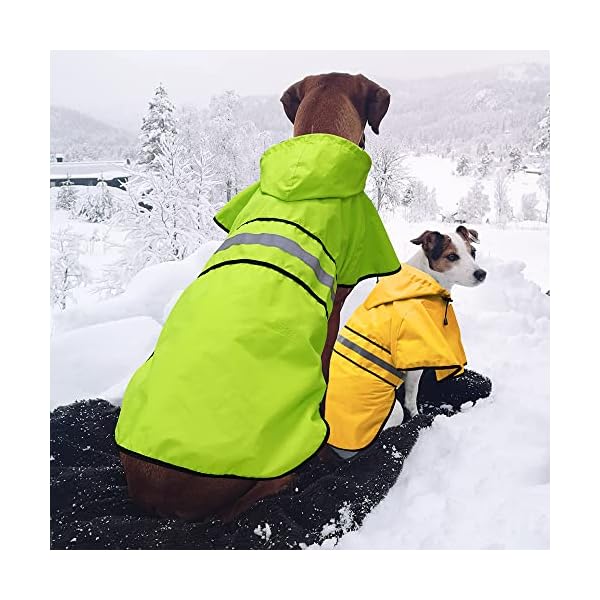 Candofly Dog Raincoat Hooded Poncho – Adjustable Waterproof Dog Rain Jacket Lightweight Reflective Dog Rain Coat Pet Slicker for Small Medium Large Dogs (Large, Green) Candofly Dog Raincoat Hooded Poncho – Adjustable Waterproof Dog Rain Jacket Lightweight Reflective Dog Rain Coat Pet Slicker for Small Medium Large Dogs (Large, Green)