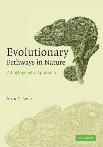 Evolutionary Pathways In Nature: A Phylogenetic Approach