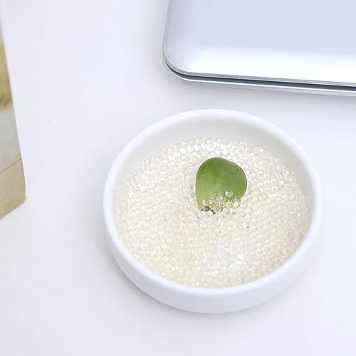 Miniatura 6 de Luqeeg 3000 unidades de gel de cuentas de agua, hidrogel en forma de perla, plantas, flores, perlas de agua, bolas de cuentas de gel, juego de