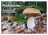 Essbare Pilze aus heimischen Wäldern im Jahresablauf (Monatskalender, 14 Seiten ) , von Autor(in): Rudolf Bindig