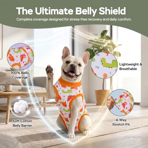 Image of PetWarm Post Surgery Dog Onesie, Surgical Recovery Suit for Dogs, Professional Dog Recovery Shirt Abdominal Wounds Bandages Substitute E-Collar and Cone, Dinosaur Pattern, Yellow, M