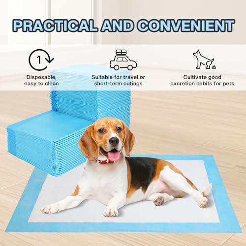 JANUIXCO 40 Stück Welpen Unterlagen - 60 × 60 cm PIPI Matten für Hunde - Wickelunterlage Einweg Auslaufsicheres 5-Lagiges Design mit Schnell Trocknender Oberfläche