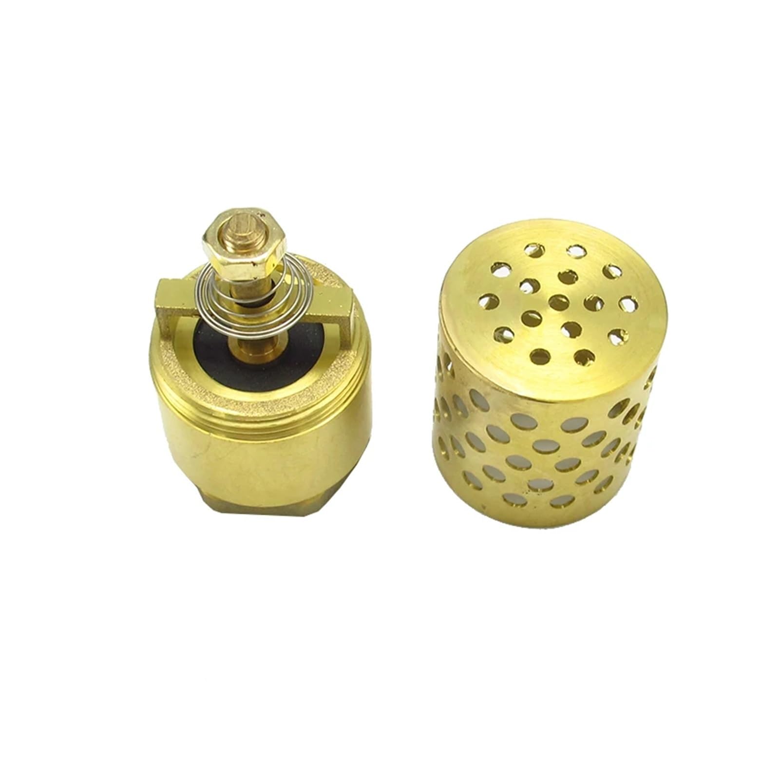 Válvula de retención de latón con rosca hembra de 3/4", 1", 1-1/4" y 1-1/2", válvula de pie for bomba de agua(1.5 Female)