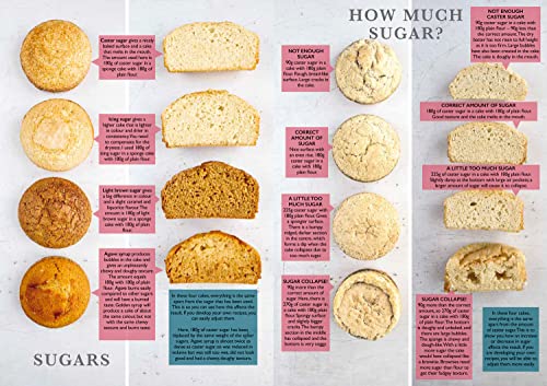 The Vegan Baking Bible: Over 300 Recipes for Bakes, Cakes, Treats and Sweets