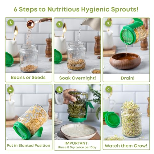 Image of sprout-me Multi Use Sprouts Maker Box With Recepie Book-Glass Mason Jar With Mesh Lid For All Seeds & Beans,with Built in Drainage Stand (Set Of 2 Sprout Jar With Book),Transparent & Green