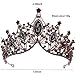 Crystal Wedding Crowns, Baroque Queen Crowns, Costume Party Hair Accessories, for Women and Girls(Black Crown)