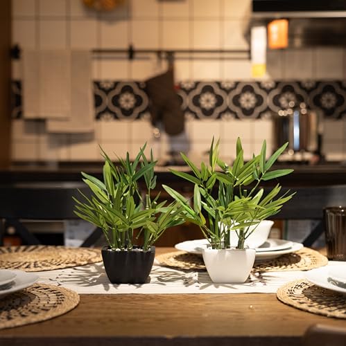 365 Blooming Decor 部屋を彩るミニ人工竹2個セット(高さ26cm) - ブラック＆ホワイトのテラコッタ鉢入り - お手入れ不要で長持ち [4]