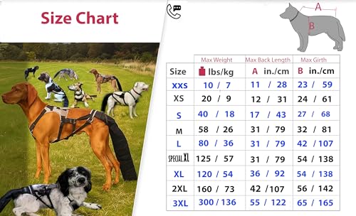 Image of Tail Guard & Harness Set - Veterinary Dog Tail Protector & Injury Wrap, Size Large