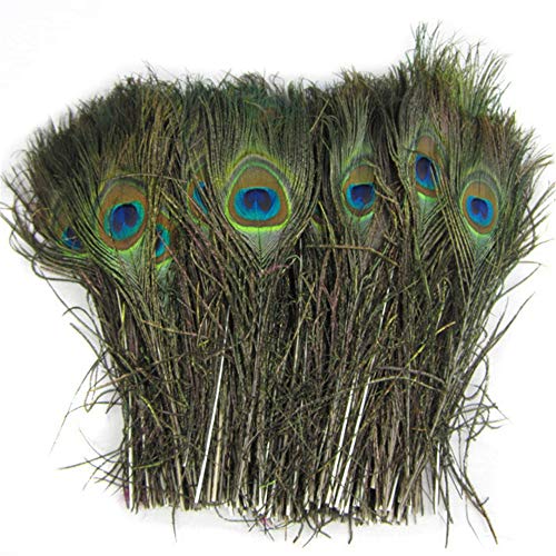 GFEU 20 Piezas de Plumas de Pavo Real Reales y Naturales (10"-12") con Ojo para Manualidades