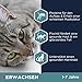 Eukanuba Katzenfutter trocken Huhn - Premium Trockenfutter mit hohem Fleischanteil für erwachsene Katzen ab 1 Jahr, 2 kg