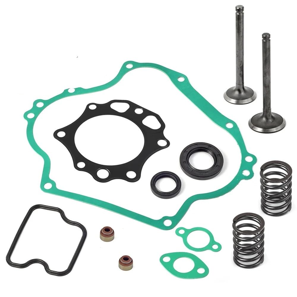 Válvula de escape de admisión de sello de junta de motor compatible con DS PFE290 1016447 448 290CC