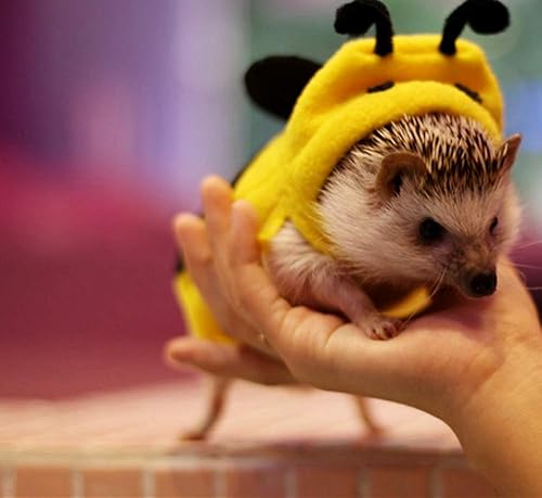 Miniatura 5 de HAICHEN TEC Ropa de erizo, disfraz de abeja, ropa de animal pequeño, material de forro polar, sudadera con capucha de erizo hecha a mano, accesorios