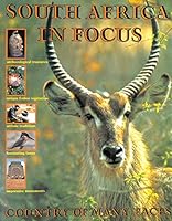 South Africa in Focus (In Focus) 0710304625 Book Cover