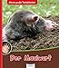 Produktbild Meine große Tierbibliothek: Der Maulwurf