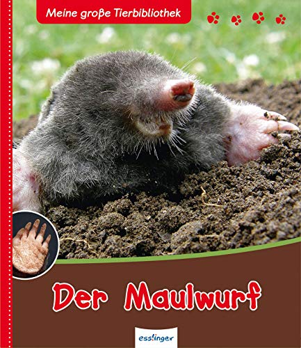 Der Maulwurf - Meine große Tierbibliothek Der Maulwurf - Meine große Tierbibliothek