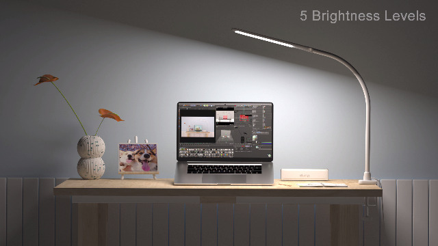 YOUKOYI LED Desk Lamp with Clamp,Flexible Gooseneck Architect