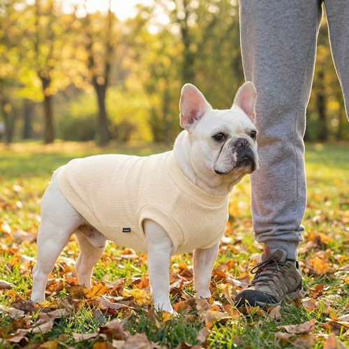 Image of 3 Pack Dog Shirt for Small Supplies Functional Waffle Dog Clothes Warm Soft Sweatshirt Outfit for Dogs Cats Pet Apparel