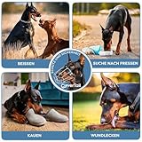 CleverTail Metall-Maulkorb für Dobermänner – Körbchen-Maulkorb gegen Bellen und Beißen – Stahl-Draht-Maulkorb für mittelgroße und große Hunde wie Dobermann, Collie, Malinois, Husky