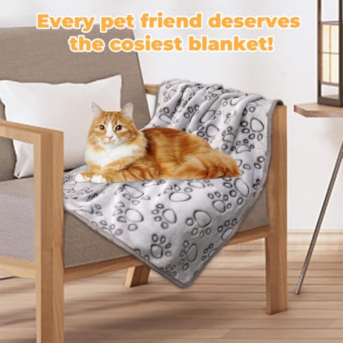 3er-Pack Hundedecken 52x76cm, Haustierdecke für Kleine Mittlere Hunde Katzen, Grau Fleecedecke für Hunde, Weich und Langlebig, Katzendecke Dünn, Pet Warm Blanket Set Ideal für Sofas & Betten