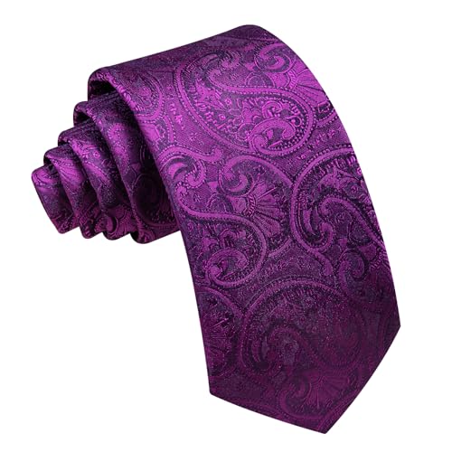 Image of Barry.Wang Paisley Tie for Men Silk Woven Necktie and Tie Clip Set Wedding Party Business Formal