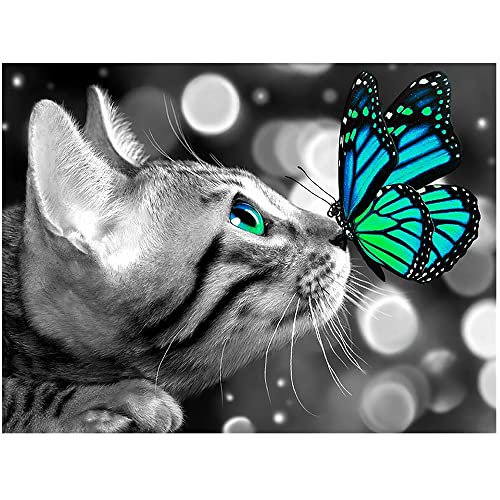 DIY diamant painting bilder groß chat papillon 50x40cm diamond painting animaux chat peinture par numero adulte enfants broderie diamant carré carre point de croix tableau diamant kit complet decor