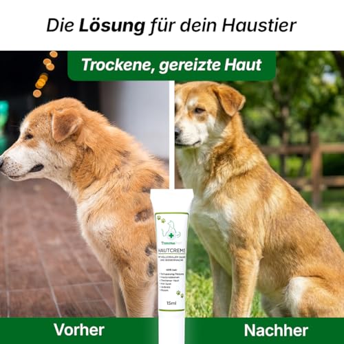 TraumaPet Hautcreme mit kolloidalem Silber und Bienenwachs