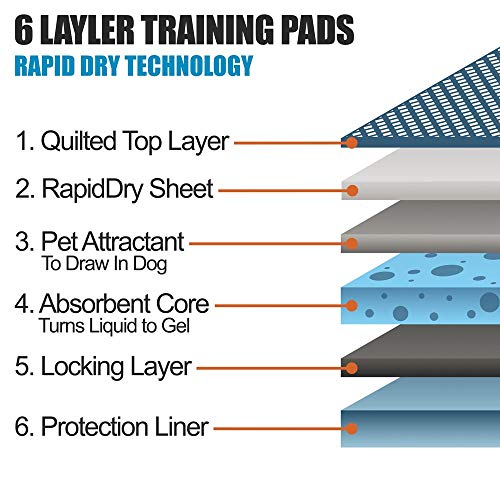 DOG for DOG Super Absorbent Pet Training Pads - 100% Leak Proof - Multi Layer Protection - Scented to Attract Pets (Blue 50 Count) - Thumbnail 4
